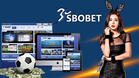 Why SBOBET88 Is Popular Among Sports Bettors