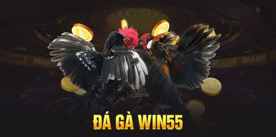 Intense Iron Spur Battles Real Time Betting